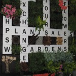 Crosswords