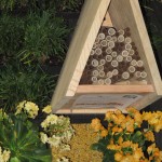 bee box